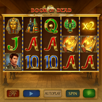 Dice Wise - Book of Dead Slot Game
