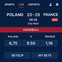 Dice Wise - Handball Betting